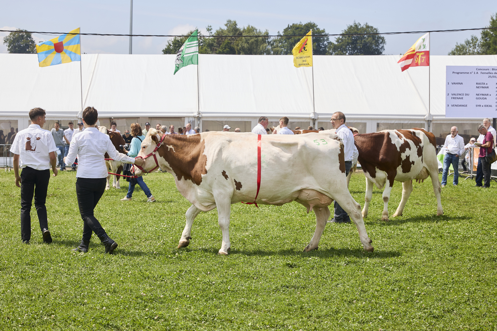 89e Foire de Libramont